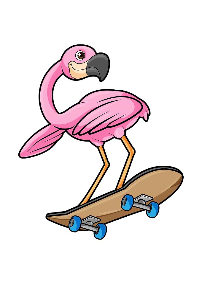 Flamingo Skater Skateboard