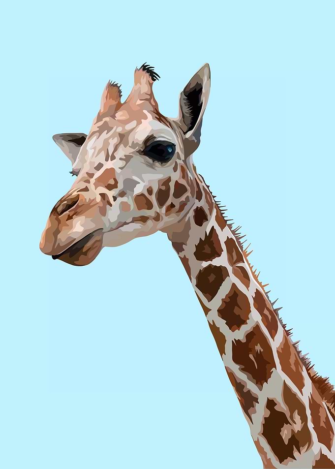 Greta the Giraffe