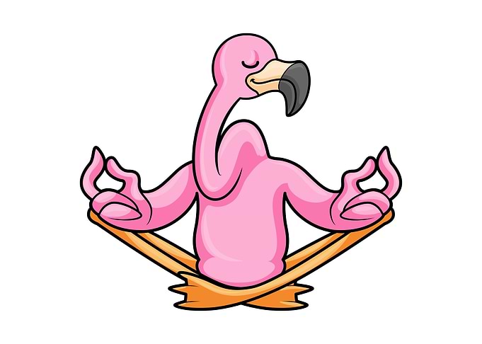 Flamingo Yoga Meditation