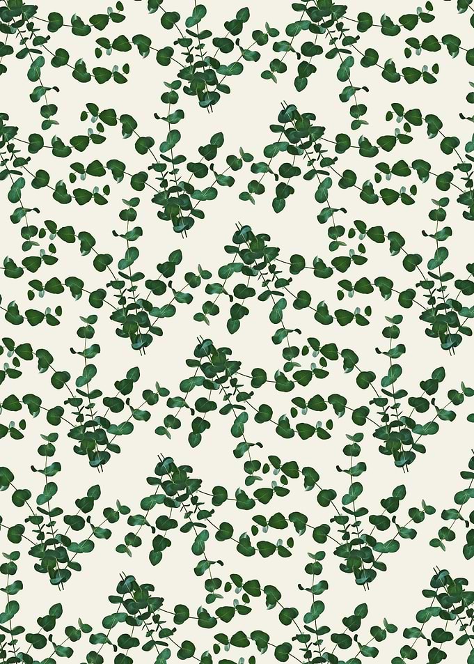 Eucalyptus Dream Pattern 1