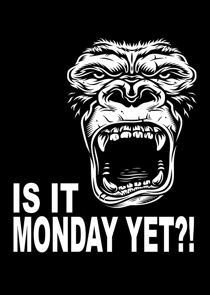 Is It Monday Yet I Hate