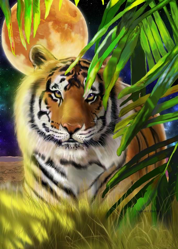 Moonlight Siberian tiger