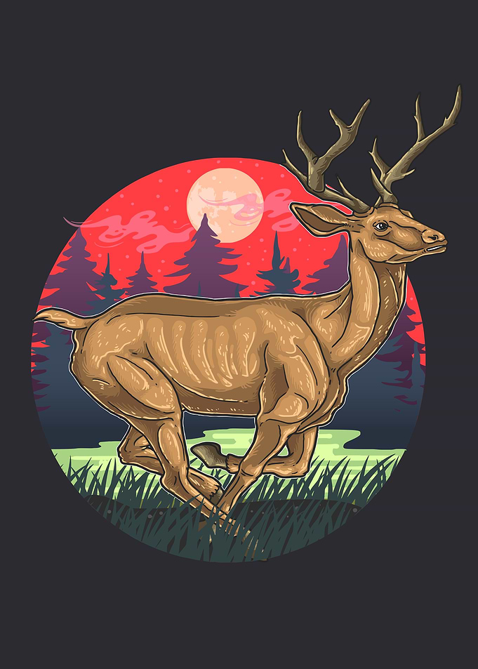 Deer in forest