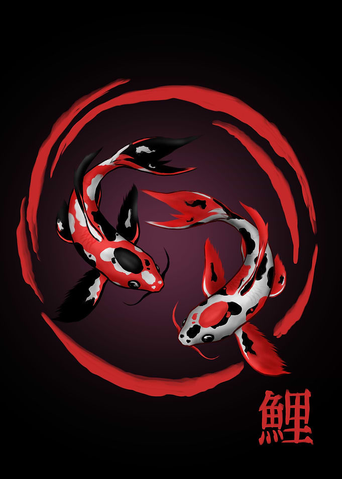 Koi Fish