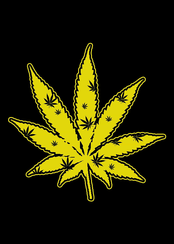 Yellow Weed Leaf