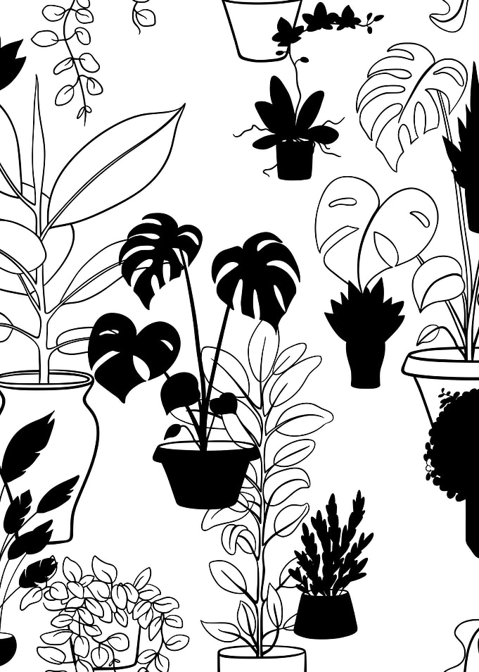Potted Plant Pattern 3