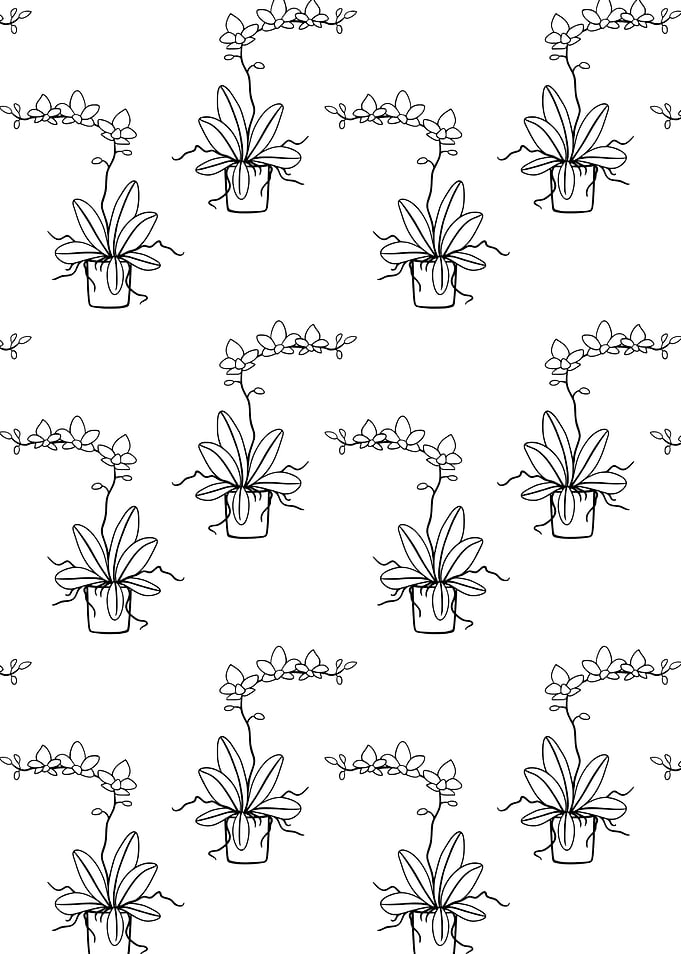 Potted Plant Pattern 4