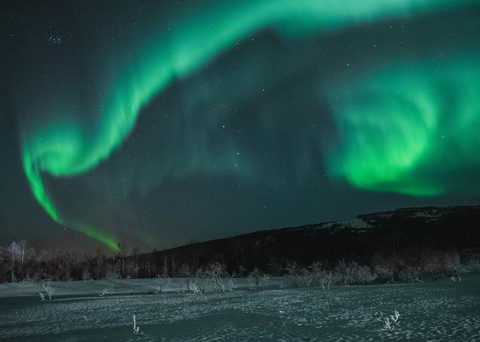 Northern Light