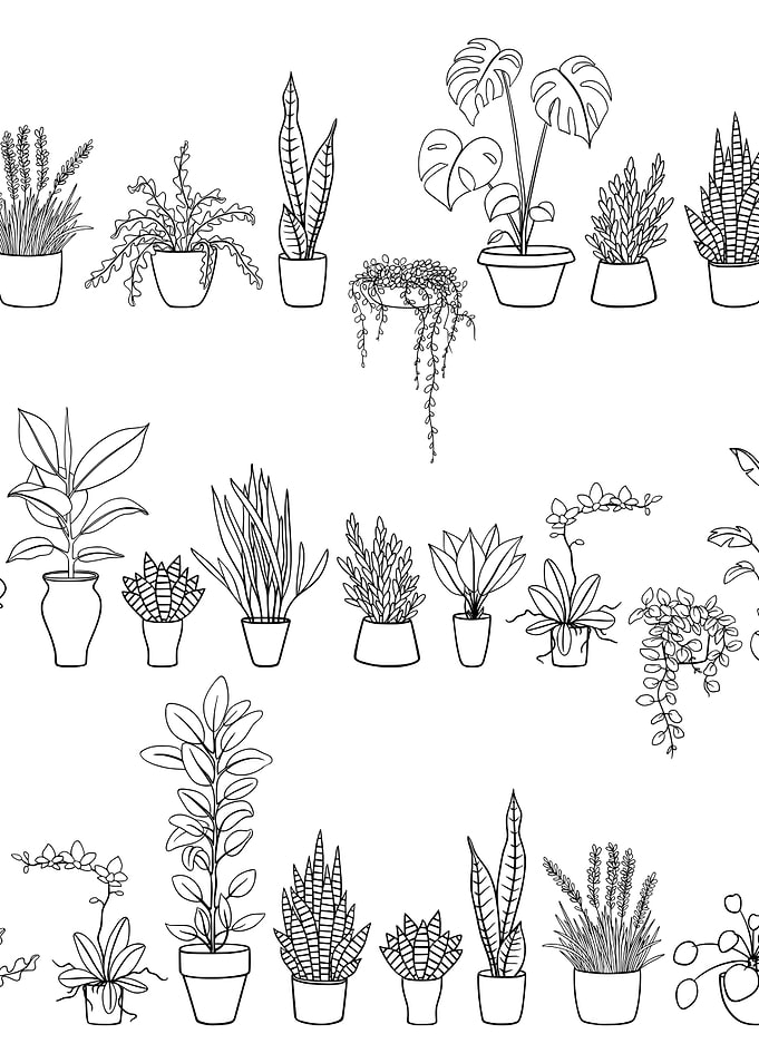 Potted Plant Pattern 10