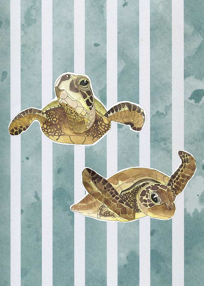Two cute turtles