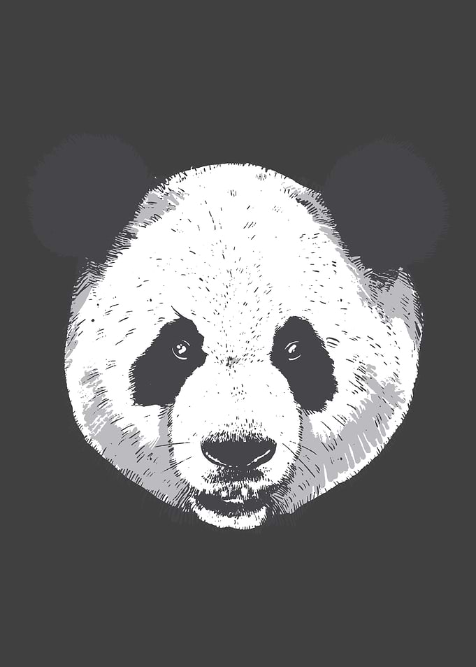 REALISTIC PANDA HEAD