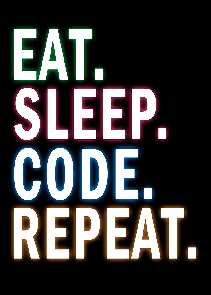 Programmer