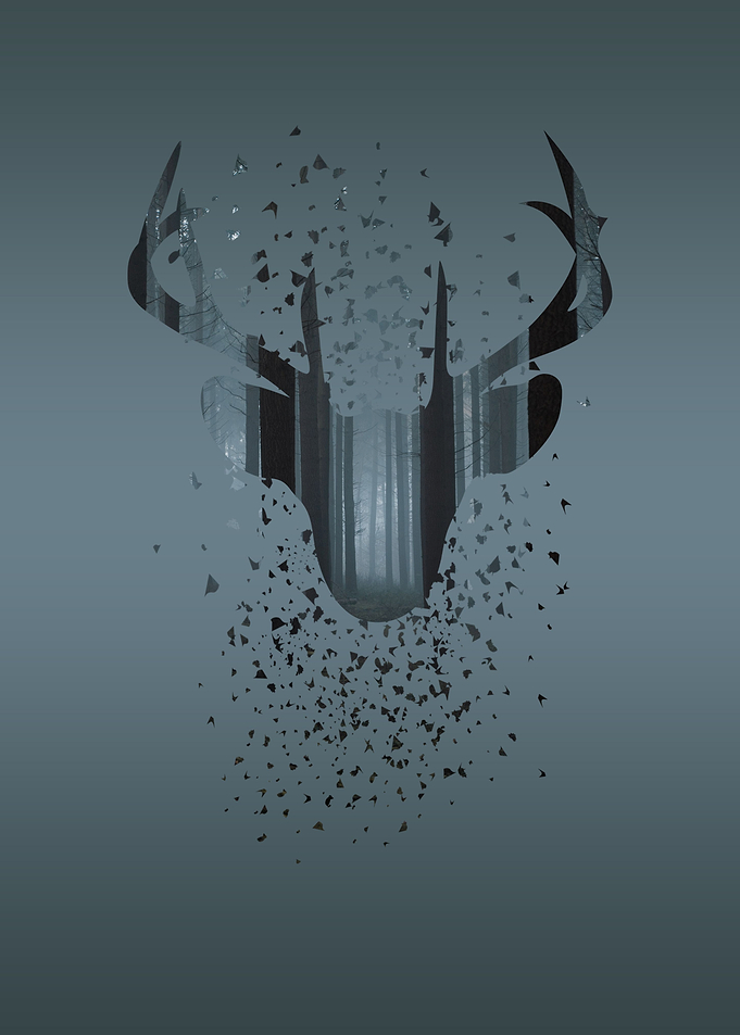 Fractured Deer