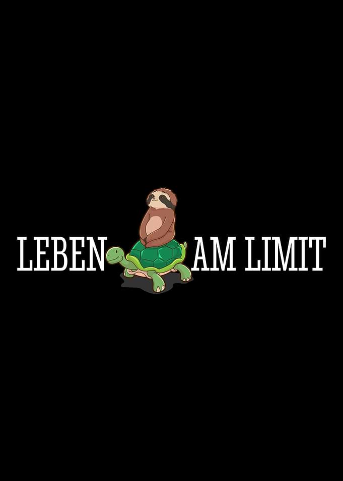 Sloth Irony Ironic Turtle