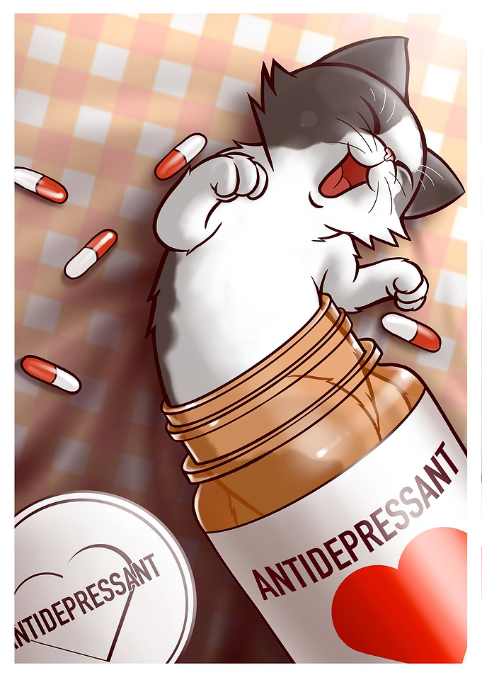 Antidepressants cats