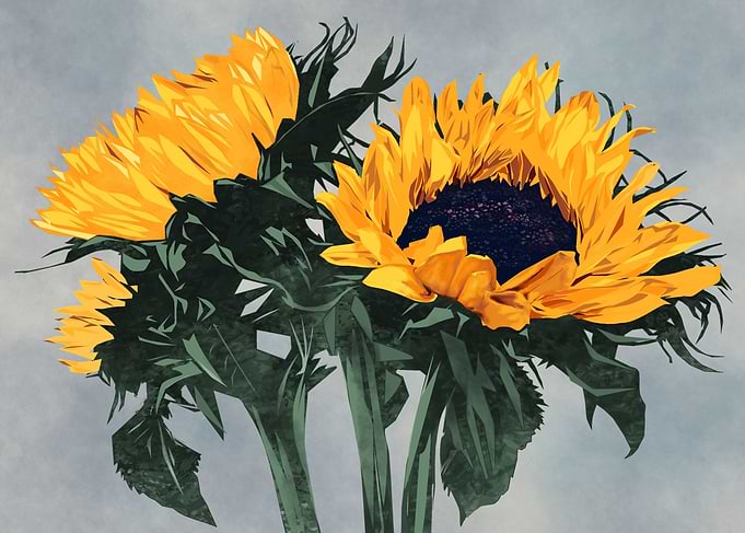 sunflower