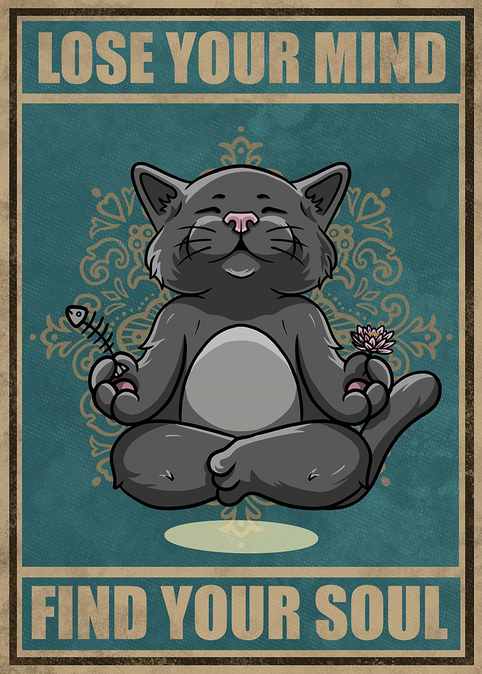 Medication cats