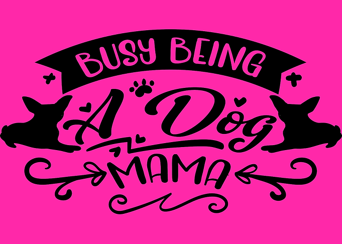 Busy being a Dog Mama
