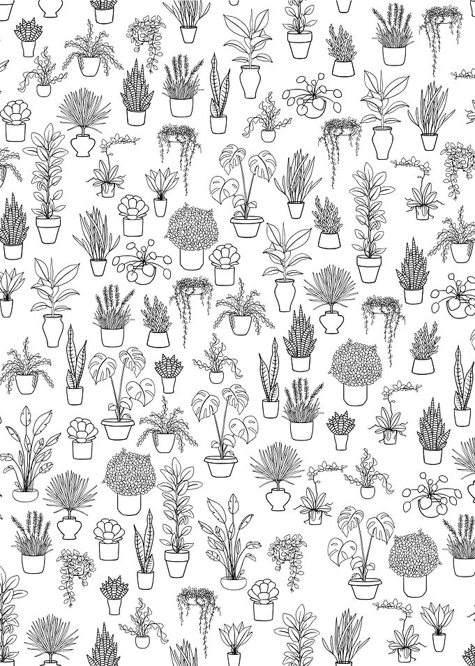 Potted Plant Pattern 12