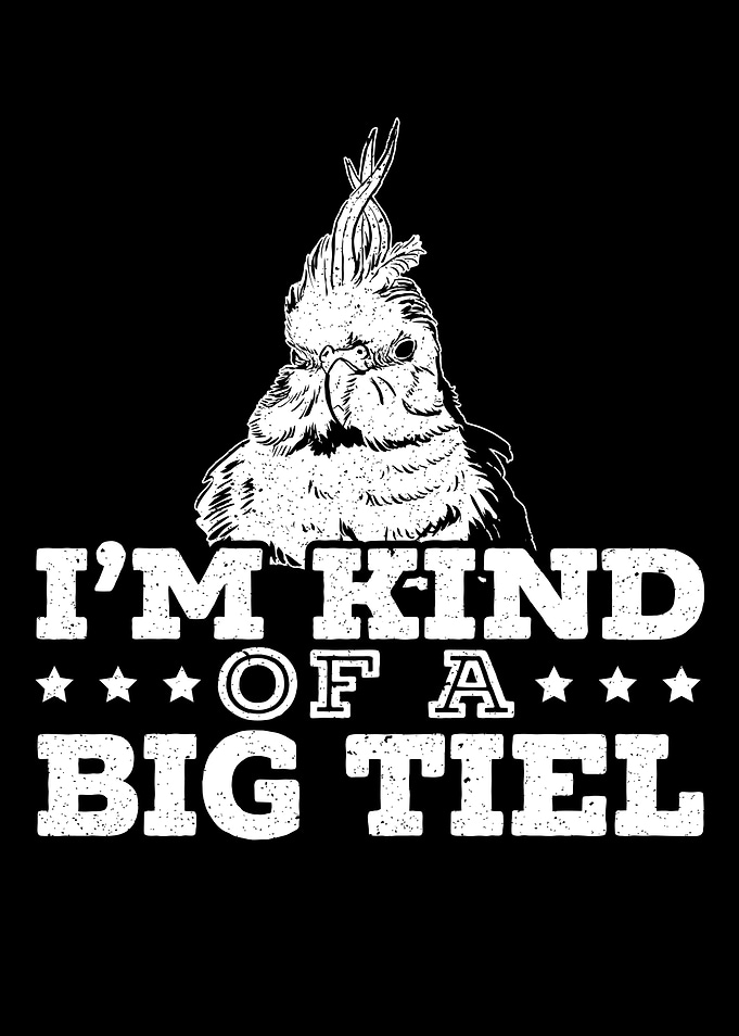 Im Kind Of A Big Tiel