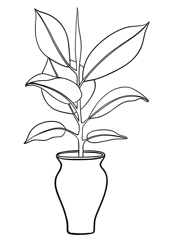 Potted Plant 4