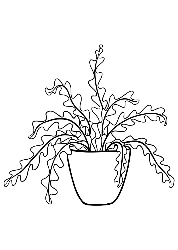 Potted Plant 8