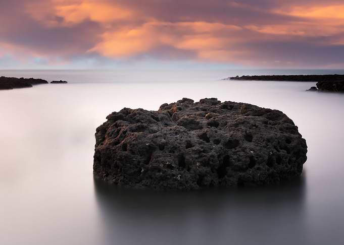 Taiwan Algae Reef Landscap