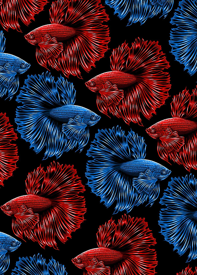 Pattern Bettas
