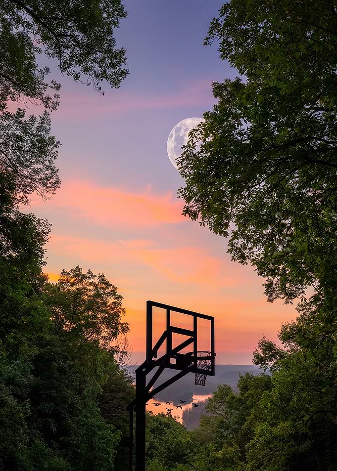 Forest Basketball