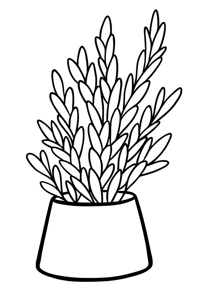 Potted Plant 6