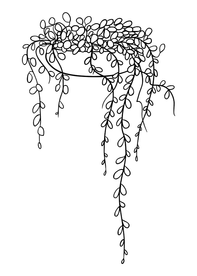 Potted Plant 10
