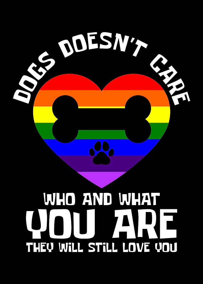 Dogs and Gay Pride Trans