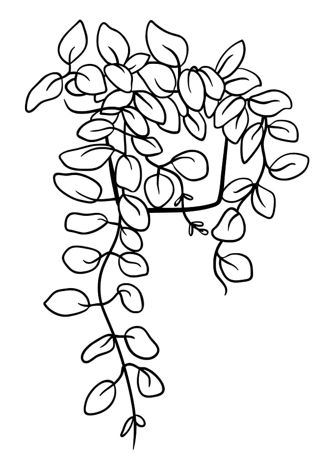 Potted Plant 7
