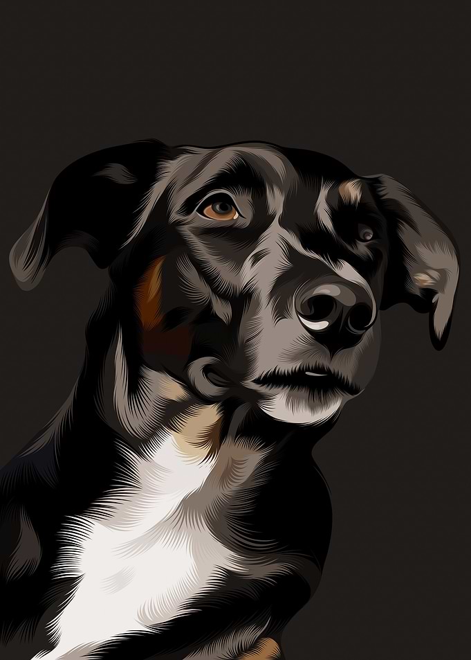 Black dog modern