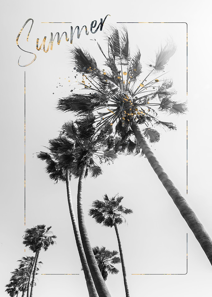 Palm Trees Impression