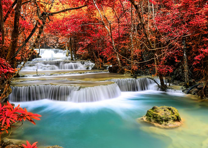 Waterfall Forest Nature
