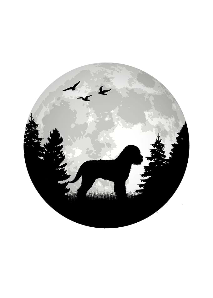 Lagotto Romagnolo Mond