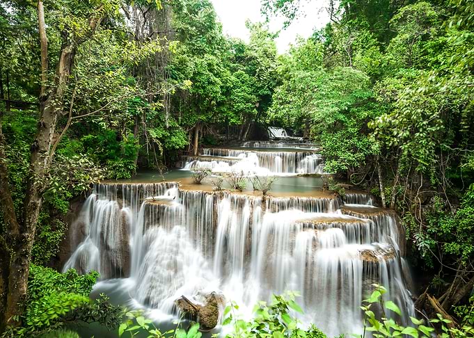 Waterfall Forest Nature