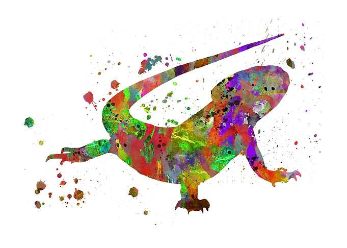 Bearded dragon