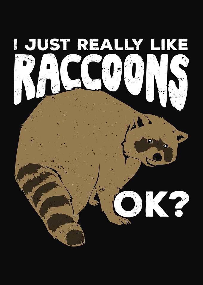 Raccoon Animal Design
