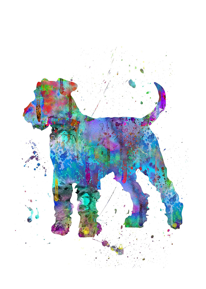 Airedale terrier