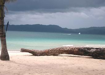 Paradise beach landscape n