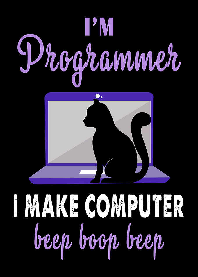 Programmer