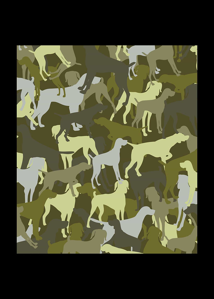 German Shorthair Pointer