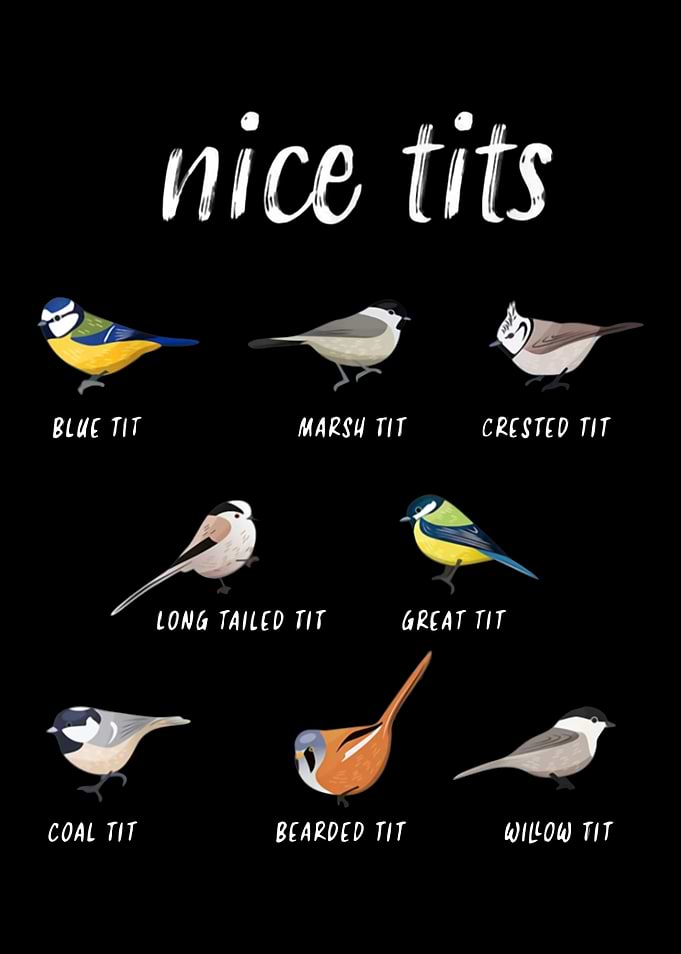 nice tits