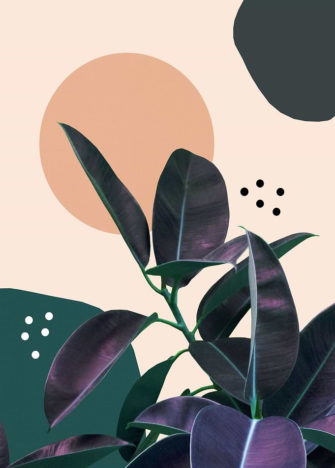Ficus Summer Abstract 1