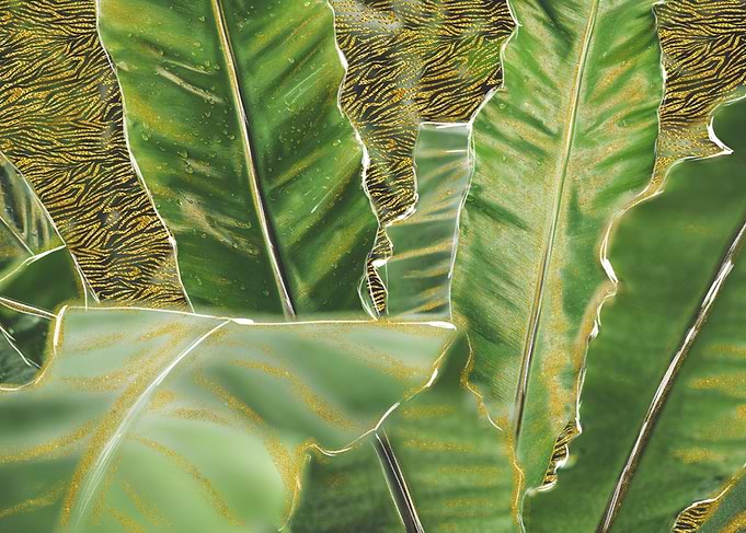 Gold tropical leaves