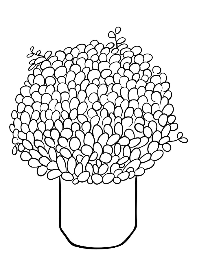 Potted Plant 27