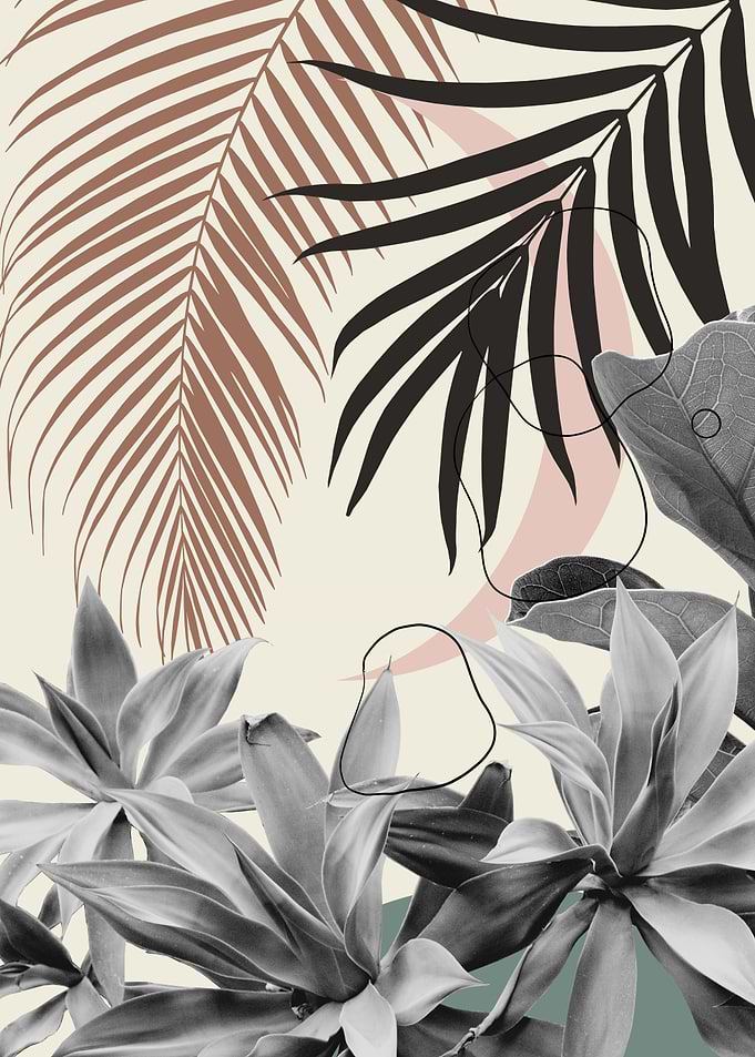 Minimal Moon Agave Palm 4