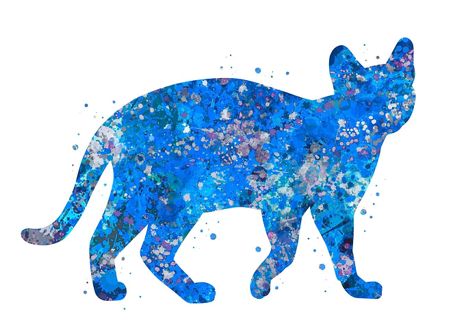 Cat blue art